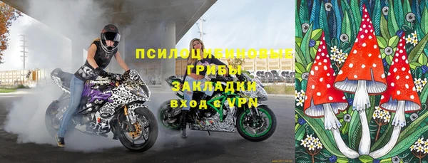 прущий лед Лагань