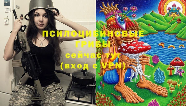 прущий лед Лагань