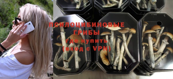 прущий лед Лагань