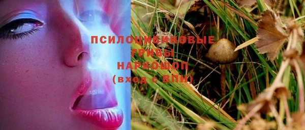 ПСИЛОЦИБИНОВЫЕ ГРИБЫ Ладушкин