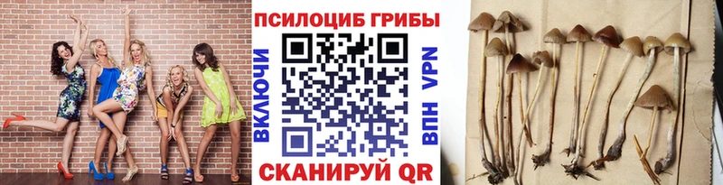 Псилоцибиновые грибы Psilocybine cubensis  наркотики  Эртиль 