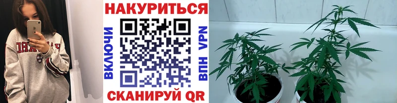 сайты даркнета какой сайт  MEGA вход  Эртиль  где можно купить наркотик  Каннабис White Widow 